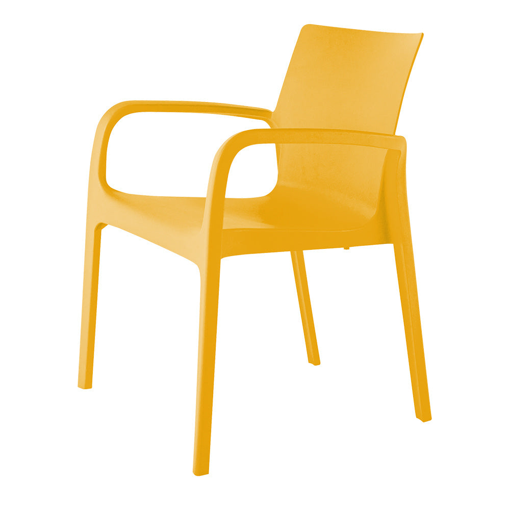 Alissa Outdoor Modern Designed Chair